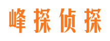 沙坡头市婚姻出轨调查